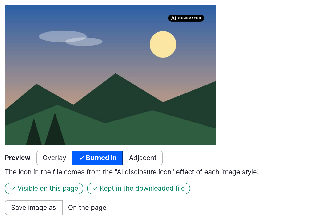 The image preview in Burned in mode