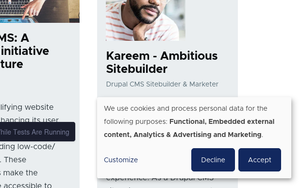 A small cookie consent notice at the bottom of a webpage, informing users that cookies and personal data processing are used for functional, embedded external content, analytics, and marketing purposes. Buttons for “Customize,” “Decline,” and “Accept” are present.