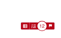 Red ed11y accessibility checker widget with a count of 12 issues and icons for summary, checklist, and flag.