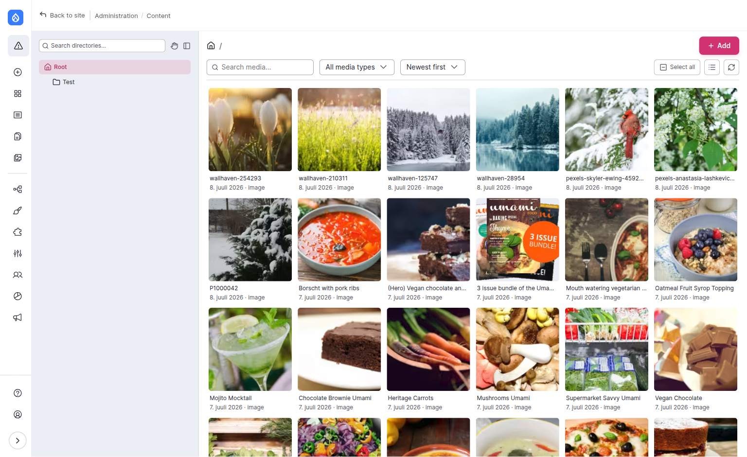 The full-screen browser layout taking over the content area