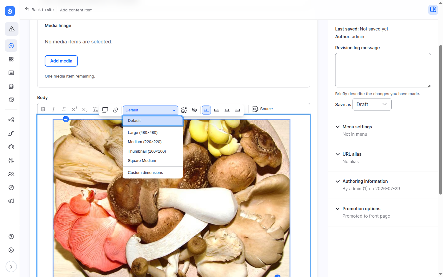 The display dropdown offering view mode, image styles and custom dimensions