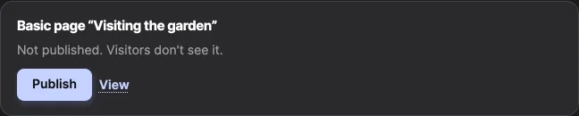 A result card for a new Basic page: "Not published. Visitors don't see it.", with Publish and View.