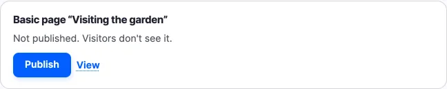 A result card for a new Basic page: "Not published. Visitors don't see it.", with Publish and View.