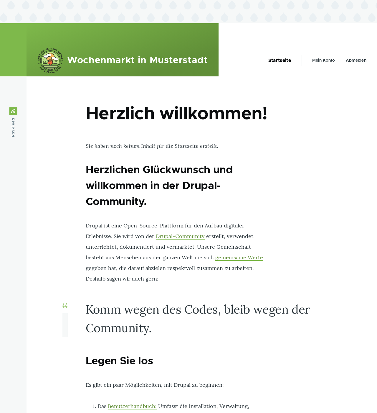 Endergebnis der Bearbeitung der zentralen Bartik-Themeneinstellungen - Farben und Logo